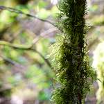 image: Image from the photoset ‘
terres rouges (xv)
’.