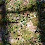 image: Image from the photoset ‘
terres rouges (xv)
’.