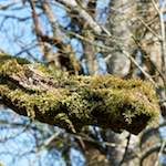 image: Image from the photoset ‘
terres rouges (xv)
’.