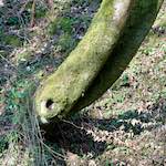 image: terres rouges (xv) photoset