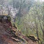 image: Image from the photoset ‘
terres rouges (xv)
’.