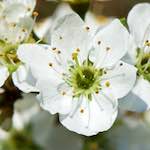 image: Image from the photoset ‘
terres rouges (xv)
’.