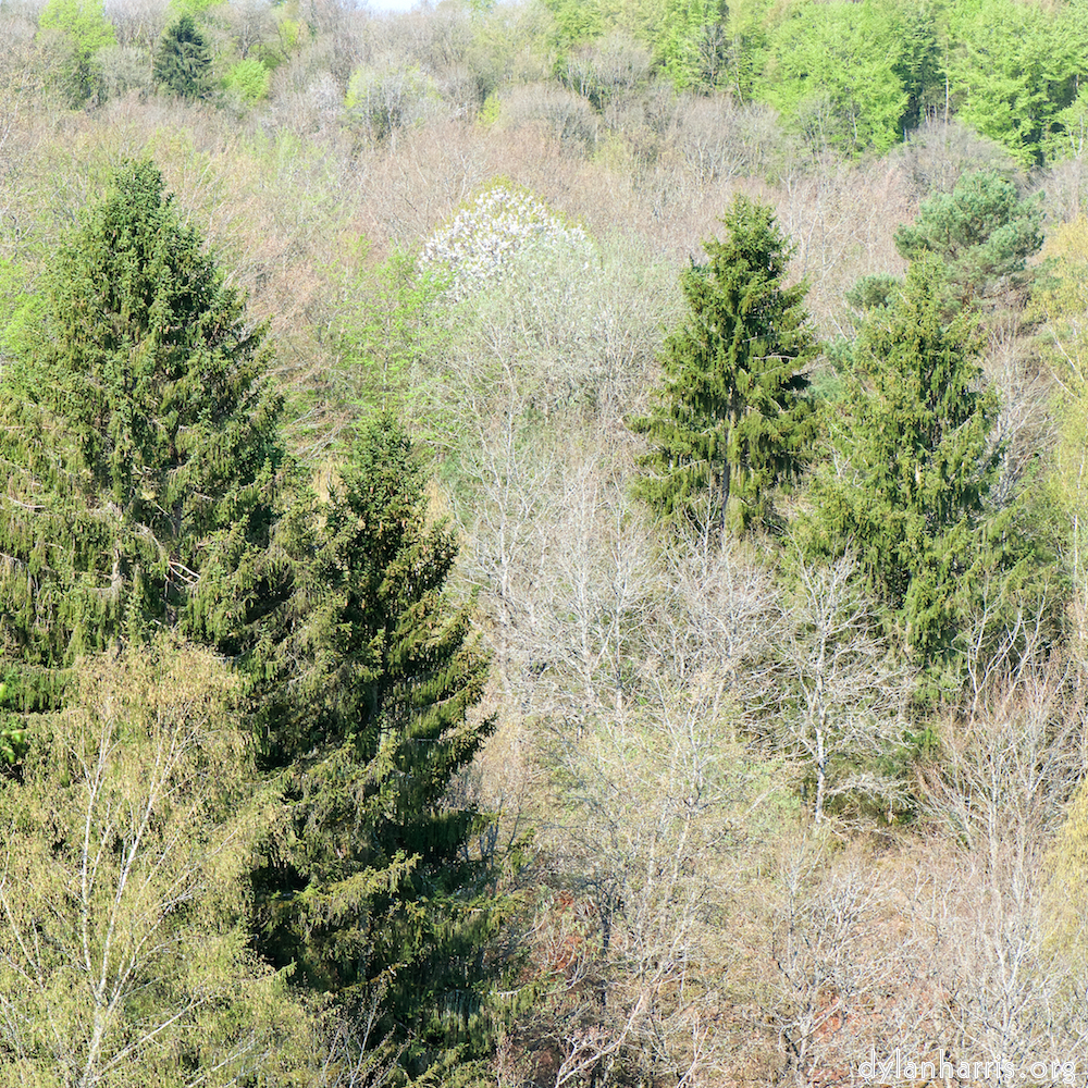 image: This is ‘
terres rouges (xvi) 5
’.