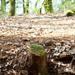 image: Image from the photoset ‘
terres rouges (xvi)
’.