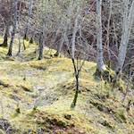 image: Image from the photoset ‘
terres rouges (xvi)
’.