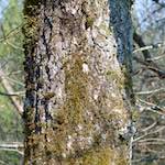 image: Image from the photoset ‘
terres rouges (xvi)
’.