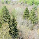 image: Image from the photoset ‘
terres rouges (xvi)
’.