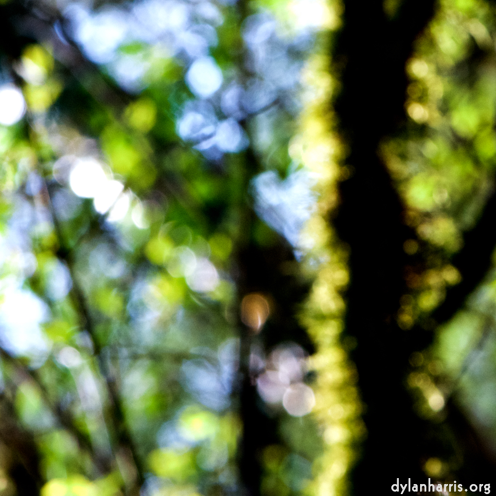 image: This is ‘
wood (xliii) 3
’.