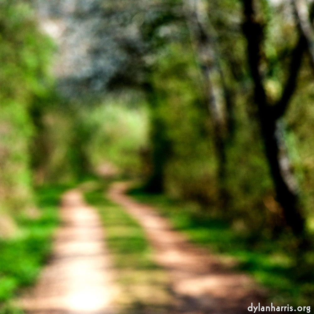 image: This is ‘
wood (xliii) 6
’.