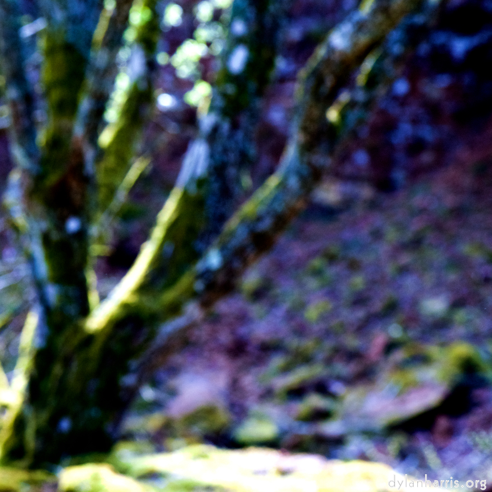 image: This is ‘
wood (xliv) 3
’.