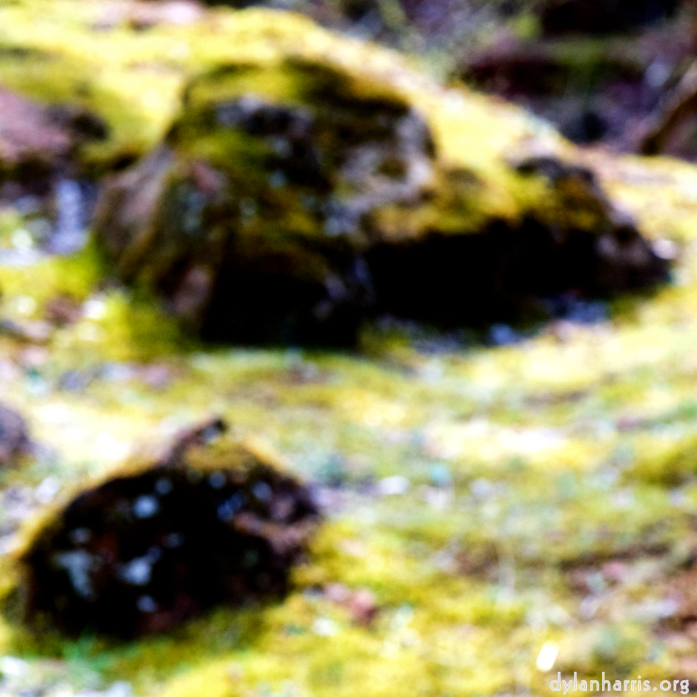 image: This is ‘
wood (xliv) 4
’.