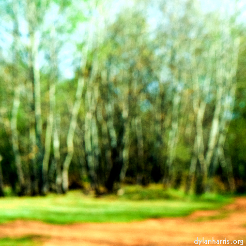 image: This is ‘
wood (xliv) 5
’.