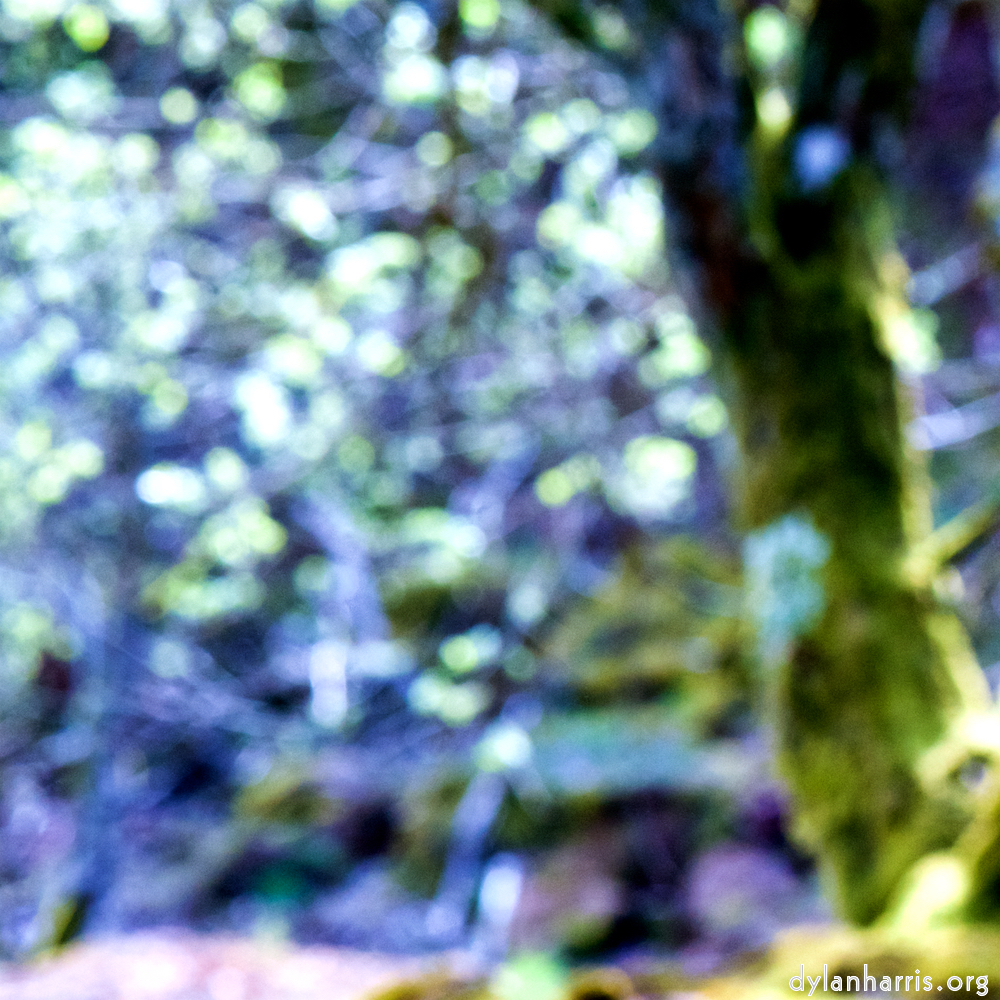 image: This is ‘
wood (xliv) 6
’.