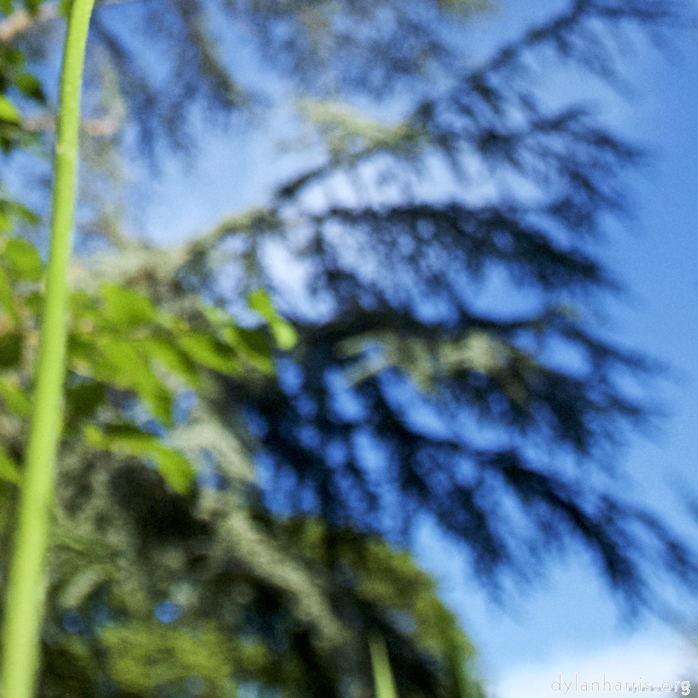 image: This is ‘
parc (xviii) 2
’.