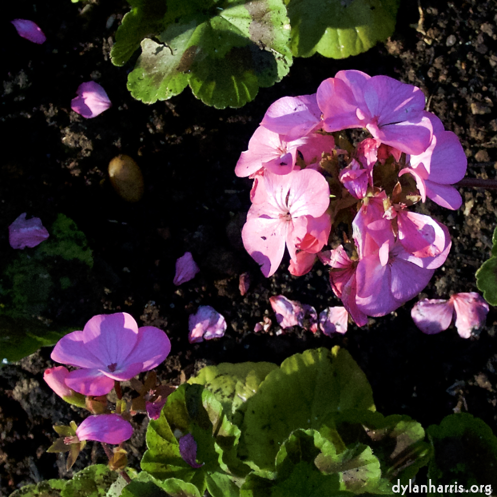 image: This is ‘
parc (xviii) 3
’.