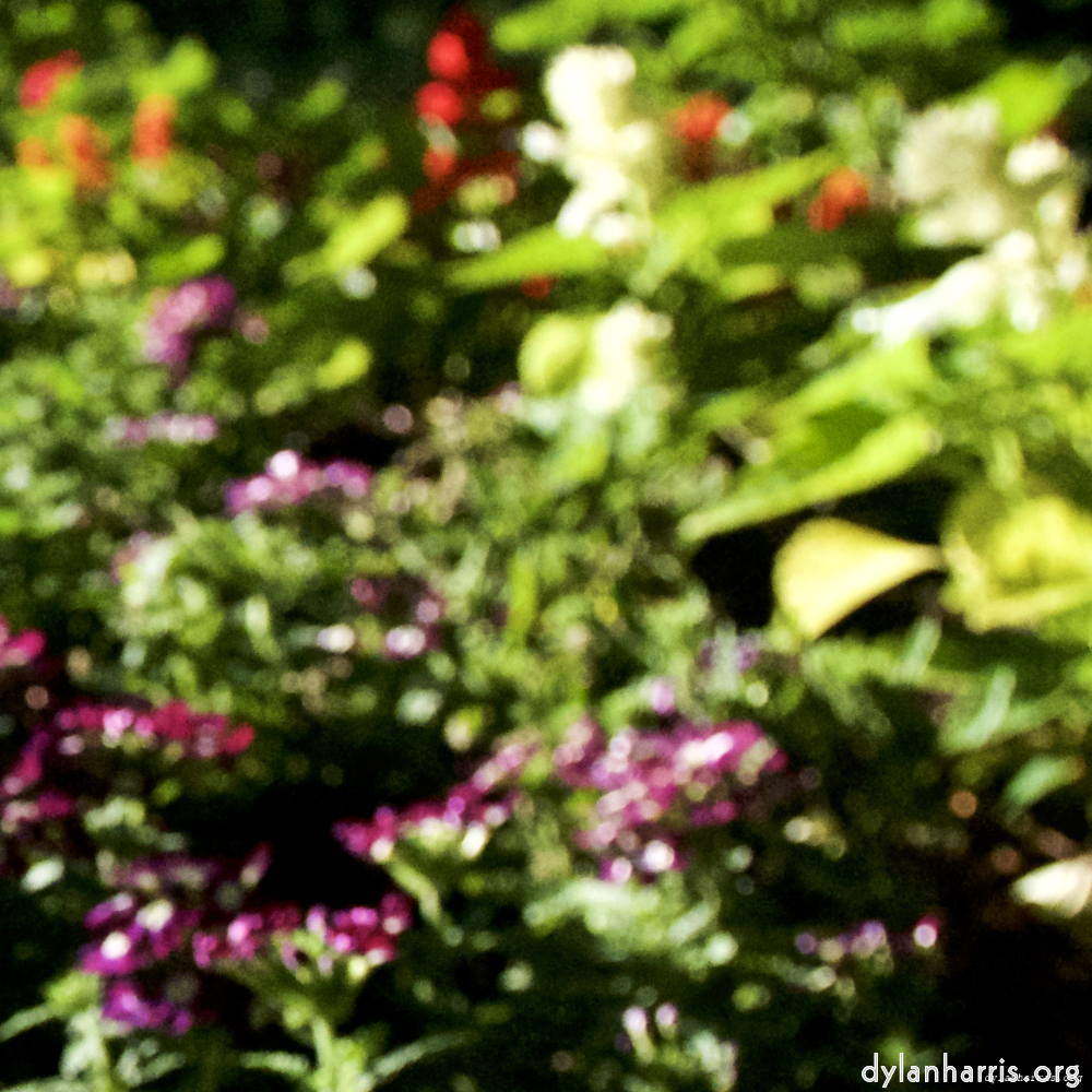 image: This is ‘
parc (xviii) 5
’.