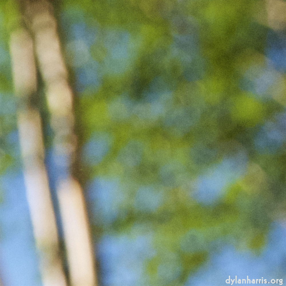 image: This is ‘
parc (xviii) 6
’.