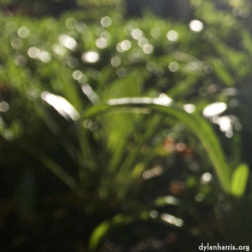 image: This is ‘
parc (xviii) 8
’.