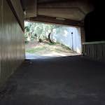 image: Image from the photoset ‘
untitled (xxxi)
’.