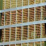 image: Image from the photoset ‘
untitled (xxxi)
’.