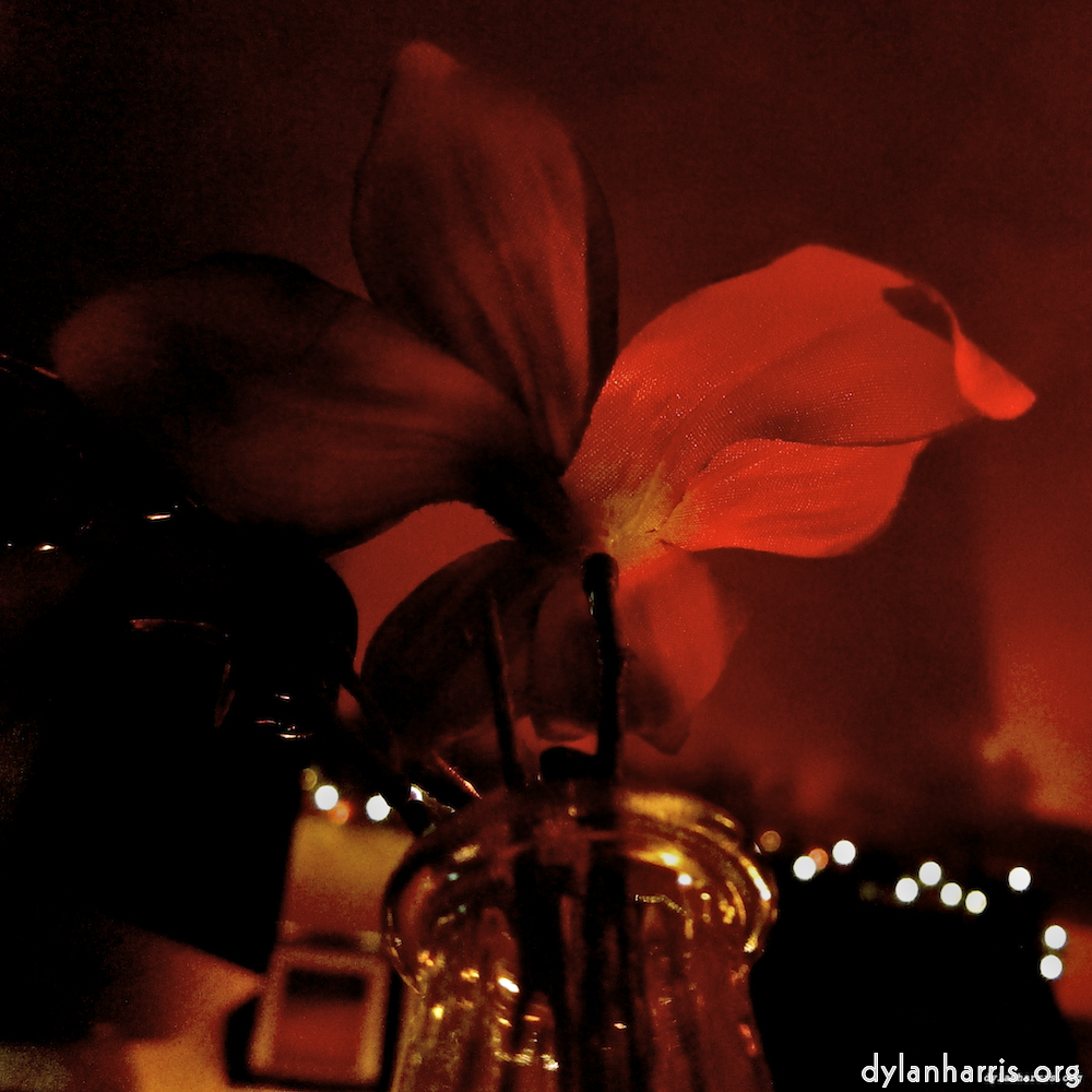 Image: Image 'eindhoven (i) 8'.