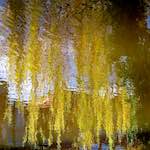 Image: First image from the photoset 'eindhoven (i)'.