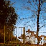 Image: Third image from the photoset 'eindhoven (i)'.