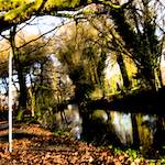 Image: Fifth image from the photoset 'eindhoven (i)'.