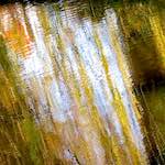 Image: Seventh image from the photoset 'eindhoven (i)'.