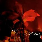 Image: Eighth image from the photoset 'eindhoven (i)'.