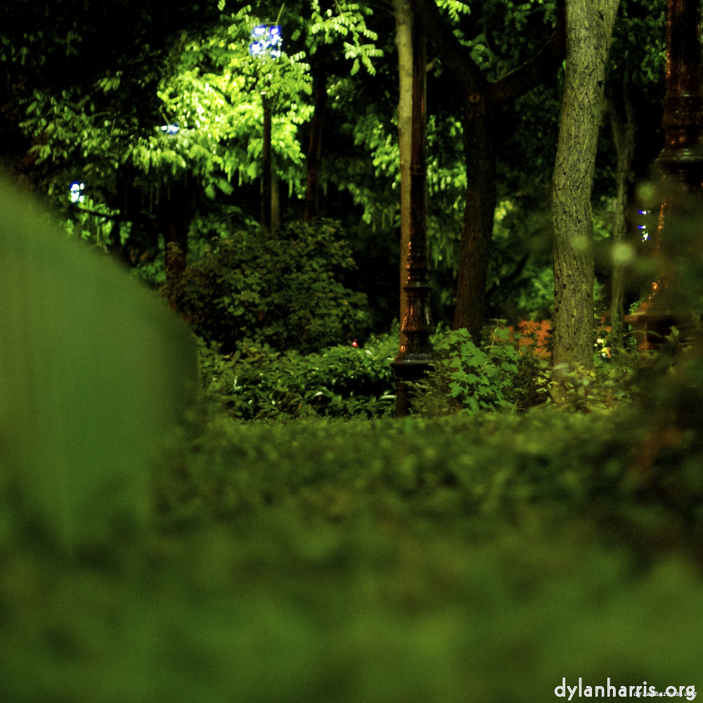 Image: Image 'parc (vi) 1'.