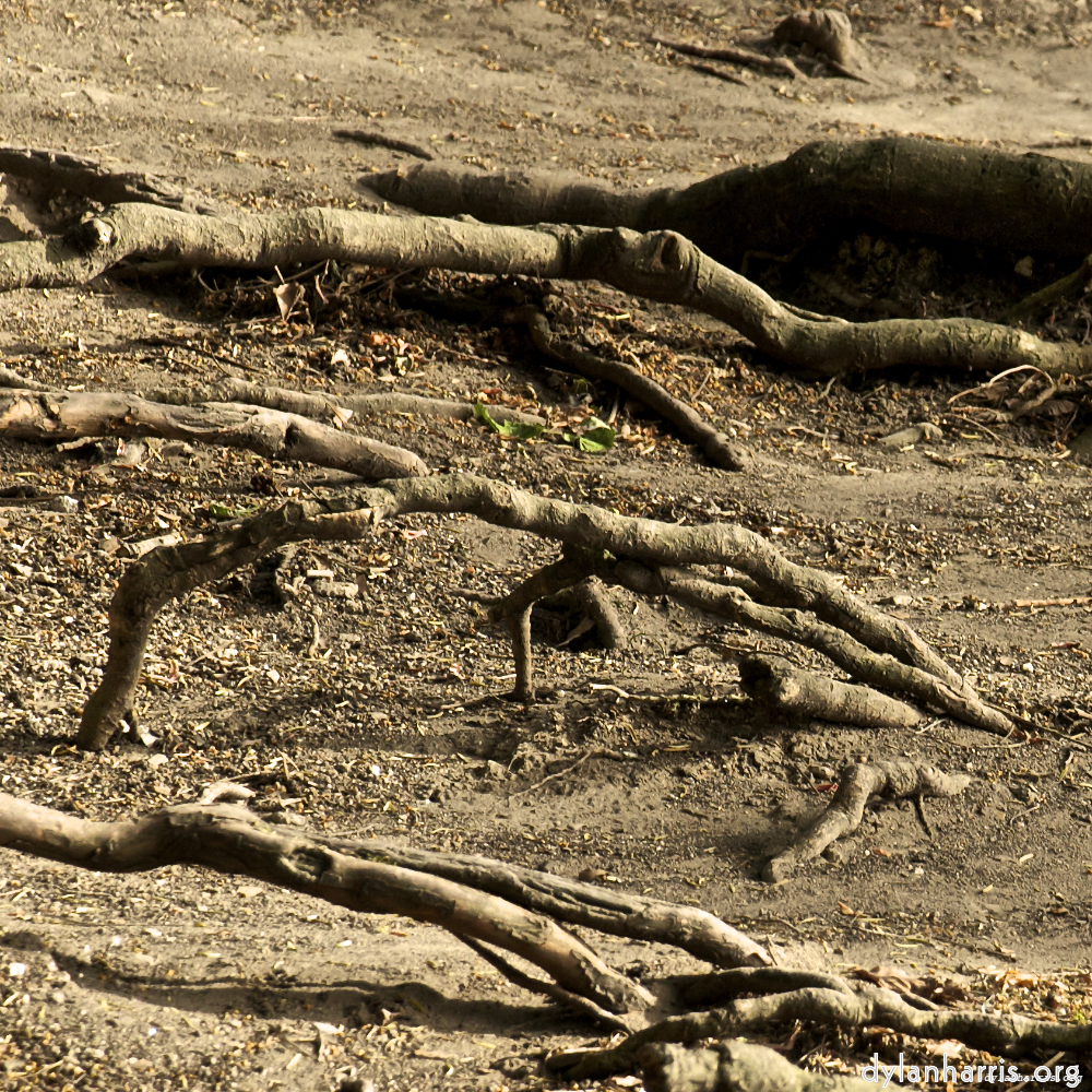 Image: Image 'parc (vi) 2'.