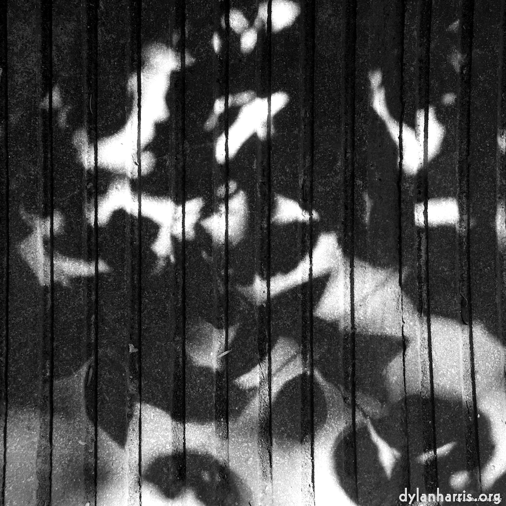 Image: Image 'parc (vi) 5'.