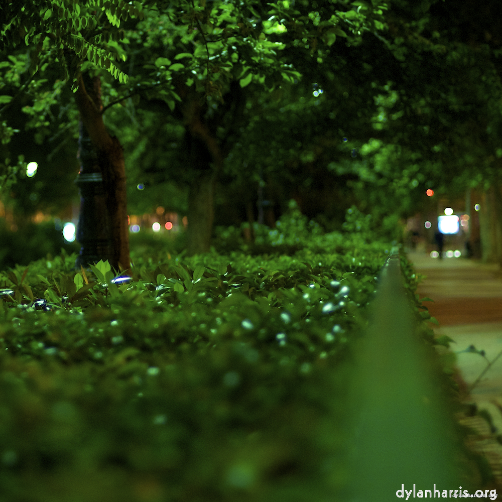 Image: Image 'parc (vi) 6'.