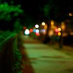 Image: Tenth image from the photoset 'parc (vi)'.