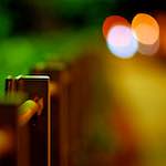 Image: Twelfth image from the photoset 'parc (vi)'.