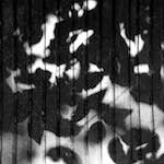 Image: Fifth image from the photoset 'parc (vi)'.