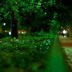 Image: Sixth image from the photoset 'parc (vi)'.