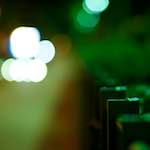 Image: Seventh image from the photoset 'parc (vi)'.