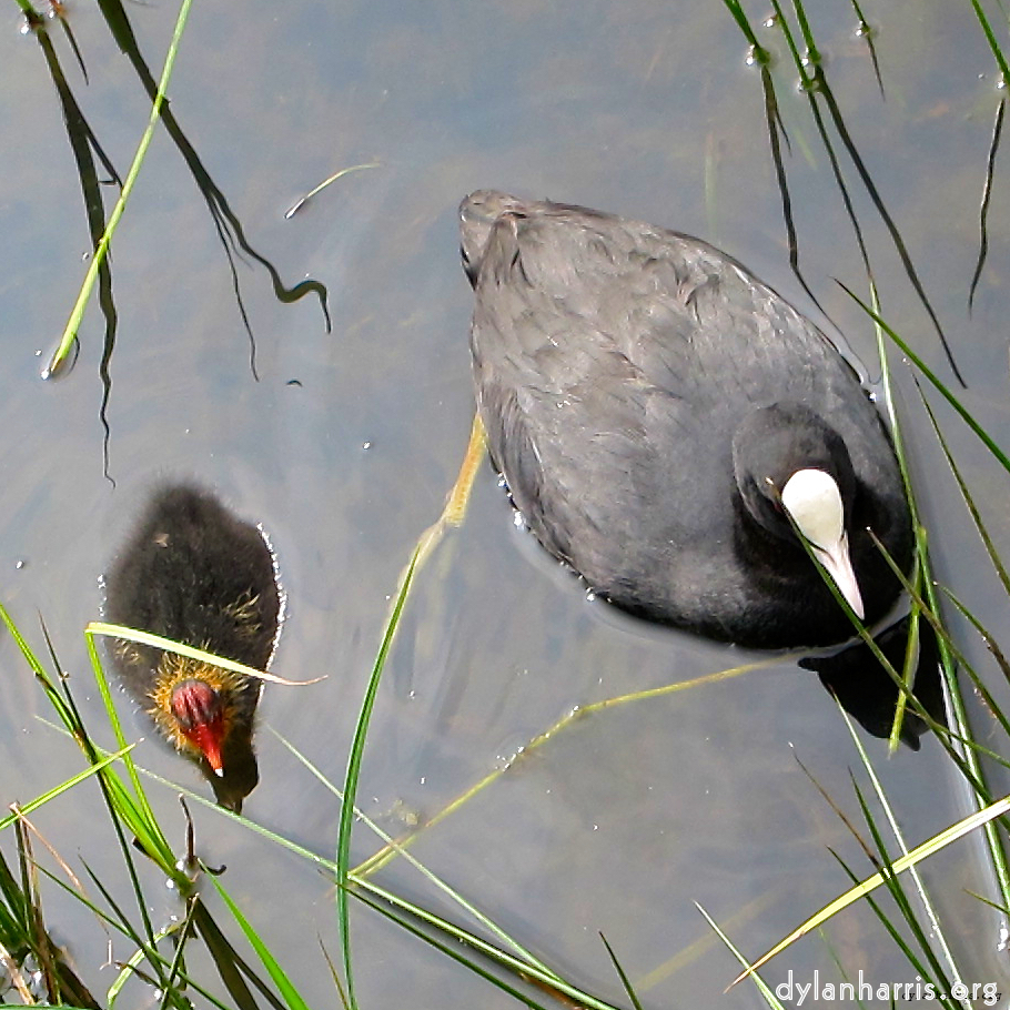 Image: Image 'eindhoven (vi) 1'.