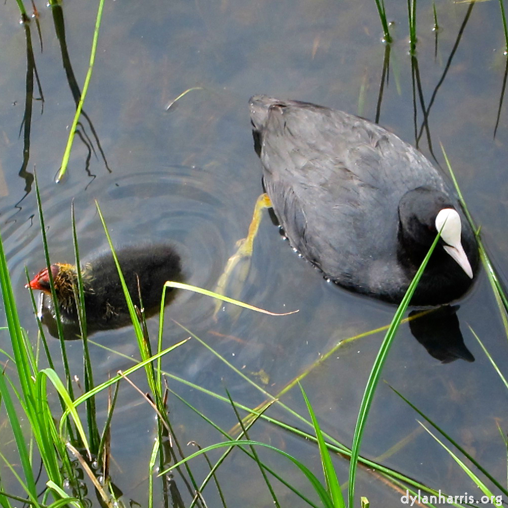 Image: Image 'eindhoven (vi) 2'.