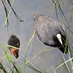 Image: First image from the photoset 'eindhoven (vi)'.