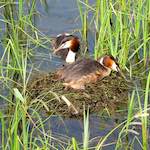 Image: Third image from the photoset 'eindhoven (vi)'.