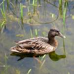 Image: Fourth image from the photoset 'eindhoven (vi)'.