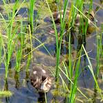 Image: Fifth image from the photoset 'eindhoven (vi)'.