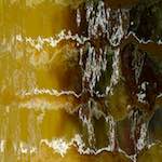 Image: First image from the photoset 'amsterdam (iii)'.