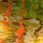 Image: Second image from the photoset 'amsterdam (iii)'.