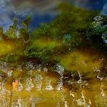 Image: Fourth image from the photoset 'amsterdam (iii)'.