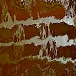 Image: Fifth image from the photoset 'amsterdam (iii)'.