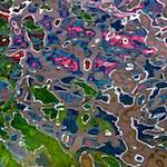 Image: Sixth image from the photoset 'amsterdam (iii)'.